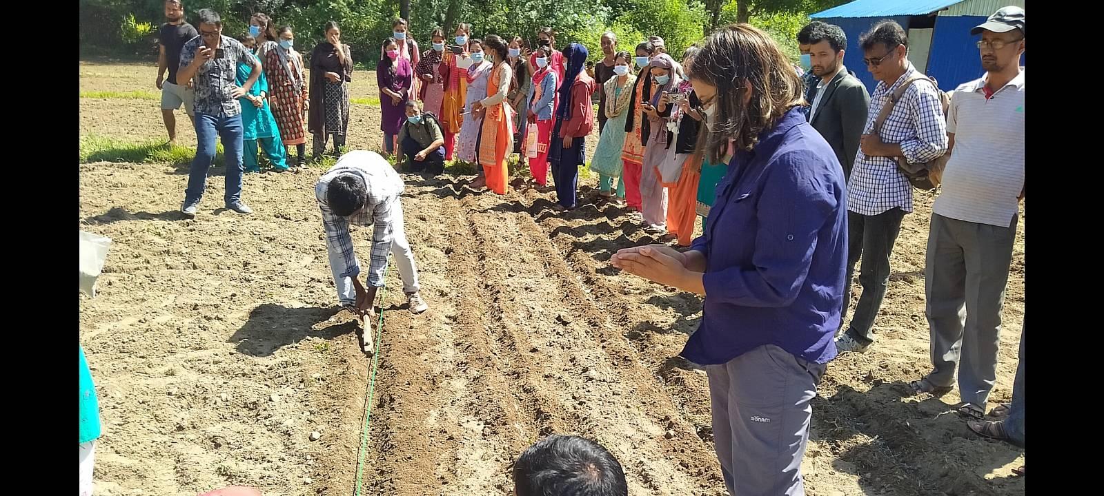 बझाङको झोताबाट सु्रु गरियो सरदकालिन् आलु रोपाई कार्यक्रम